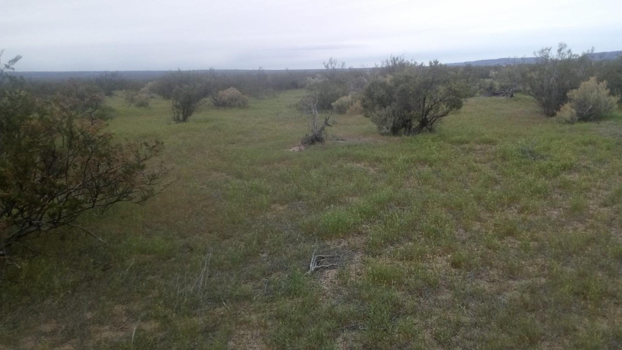 VENDO DOS CAMPOS EN LIMAY MAHUIDA, LA PAMPA . 5000 HECTAREAS - 10