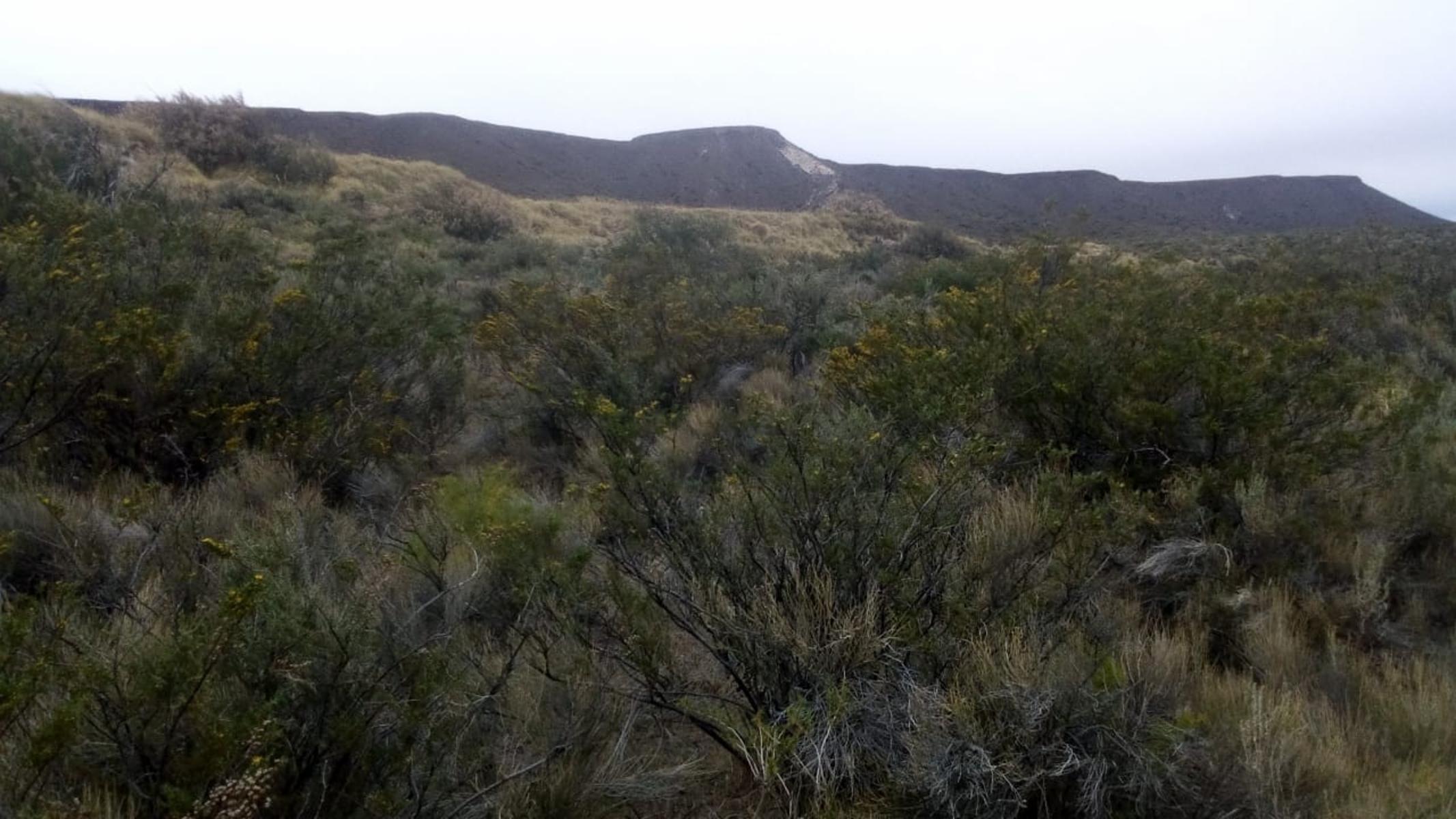 VENDO DOS CAMPOS EN LIMAY MAHUIDA, LA PAMPA . 5000 HECTAREAS - 12