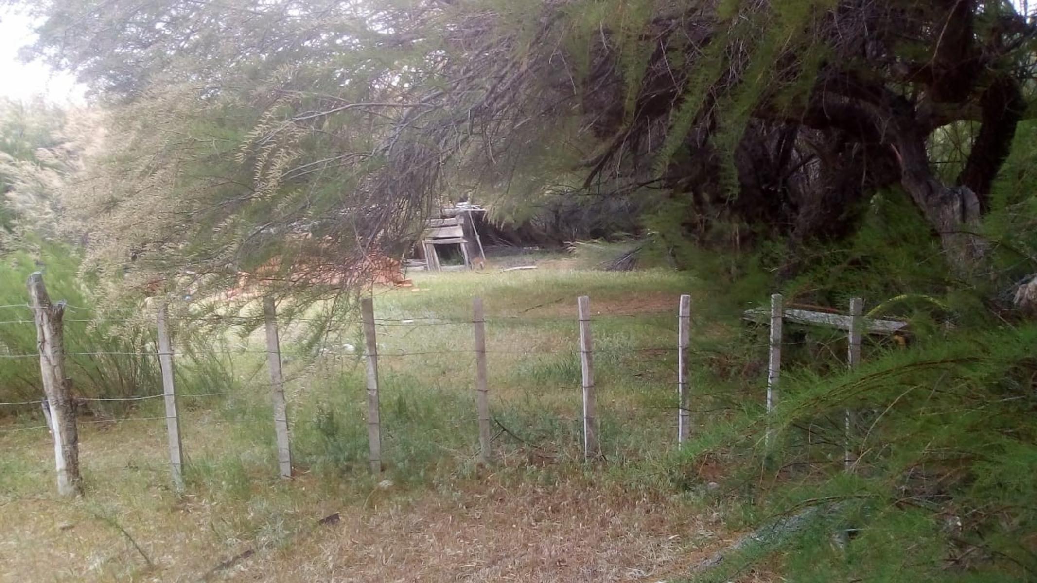 VENDO DOS CAMPOS EN LIMAY MAHUIDA, LA PAMPA . 5000 HECTAREAS - 13