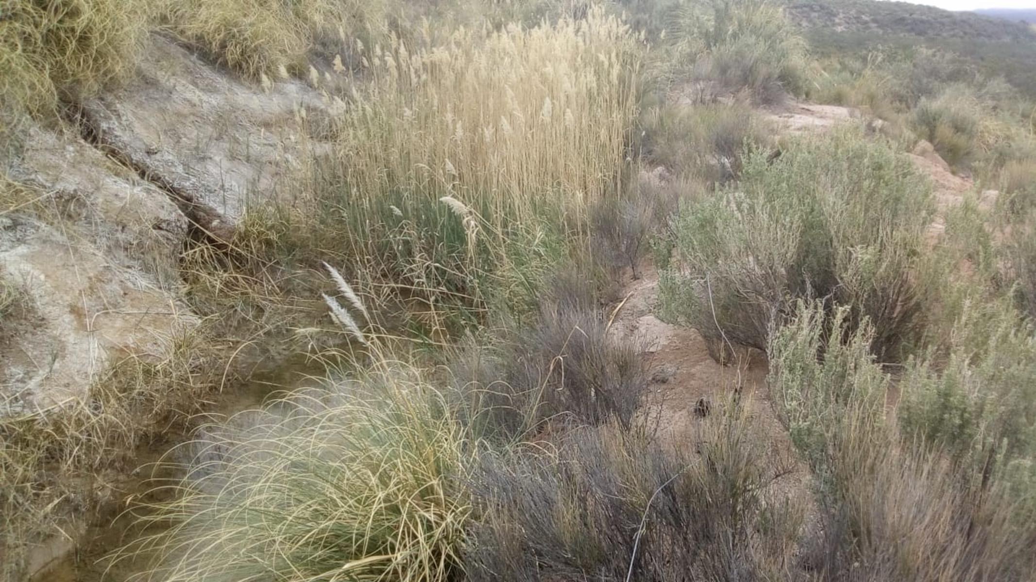 VENDO DOS CAMPOS EN LIMAY MAHUIDA, LA PAMPA . 5000 HECTAREAS - 14