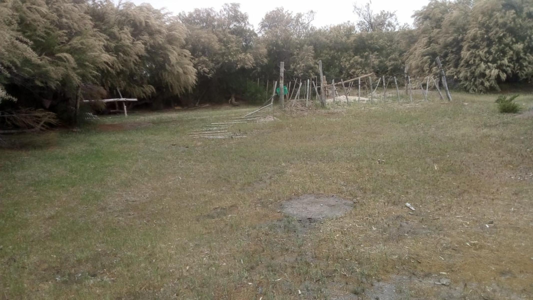 VENDO DOS CAMPOS EN LIMAY MAHUIDA, LA PAMPA . 5000 HECTAREAS - 15