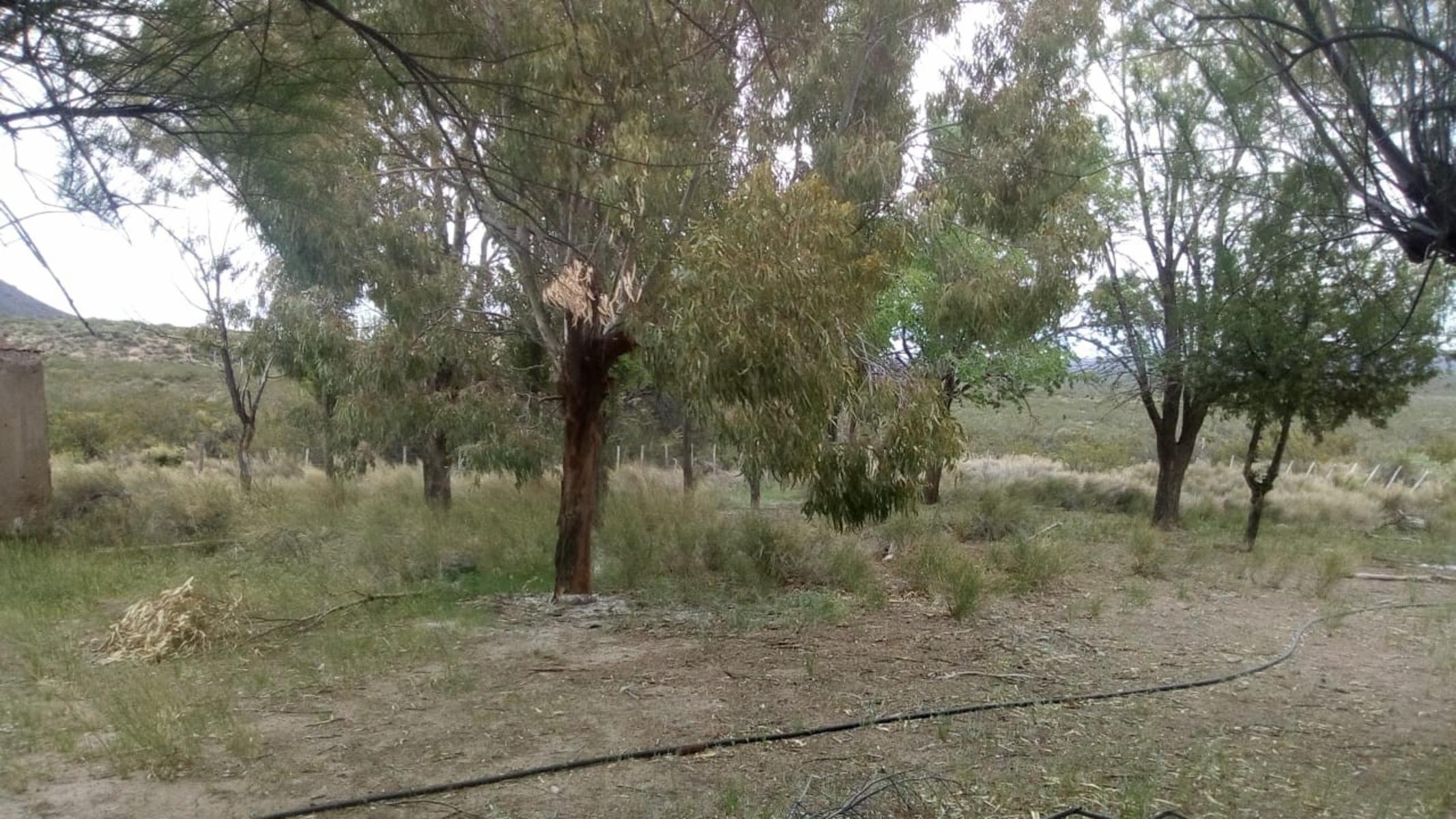 VENDO DOS CAMPOS EN LIMAY MAHUIDA, LA PAMPA . 5000 HECTAREAS - 16