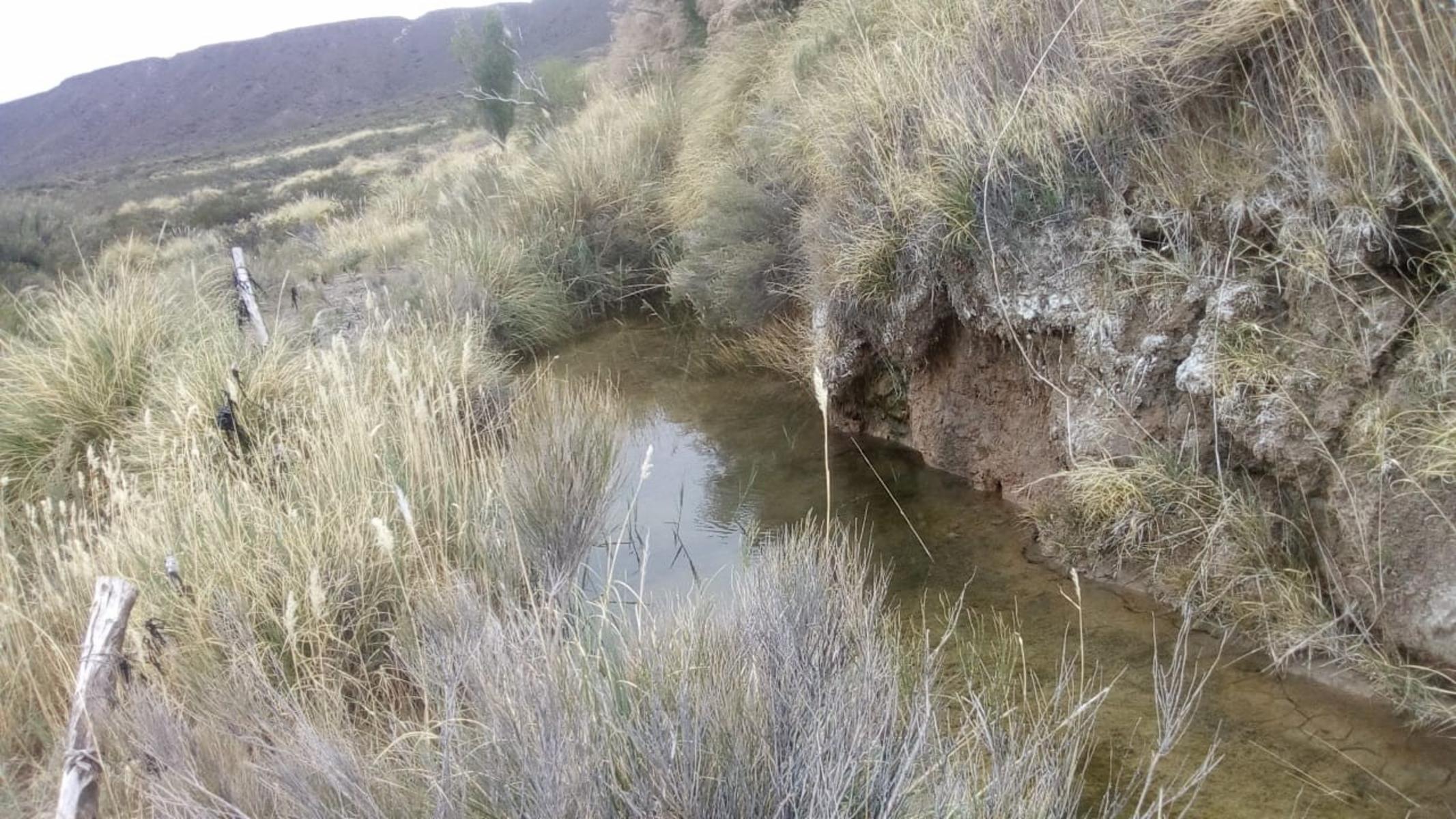 VENDO DOS CAMPOS EN LIMAY MAHUIDA, LA PAMPA . 5000 HECTAREAS - 17