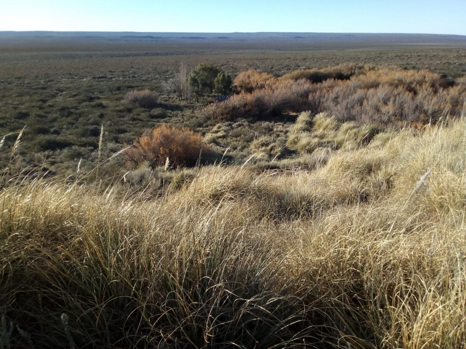 VENDO DOS CAMPOS EN LIMAY MAHUIDA, LA PAMPA . 5000 HECTAREAS - 22