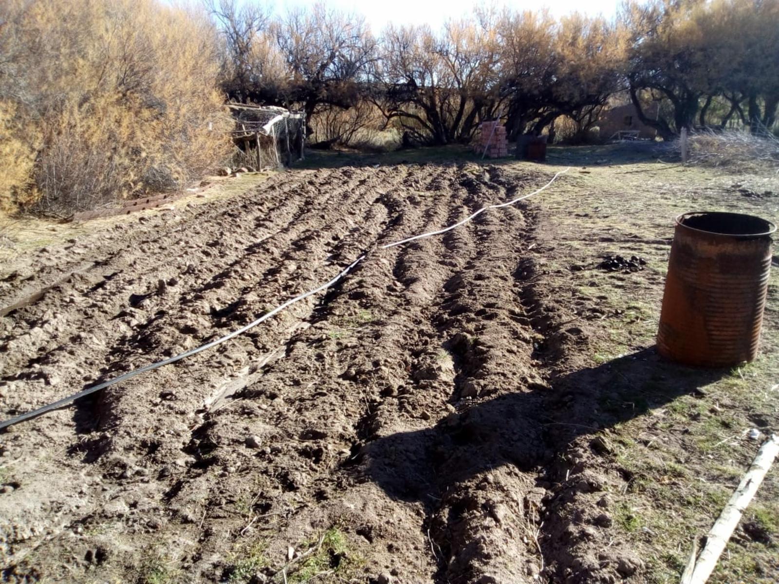 VENDO DOS CAMPOS EN LIMAY MAHUIDA, LA PAMPA . 5000 HECTAREAS - 26