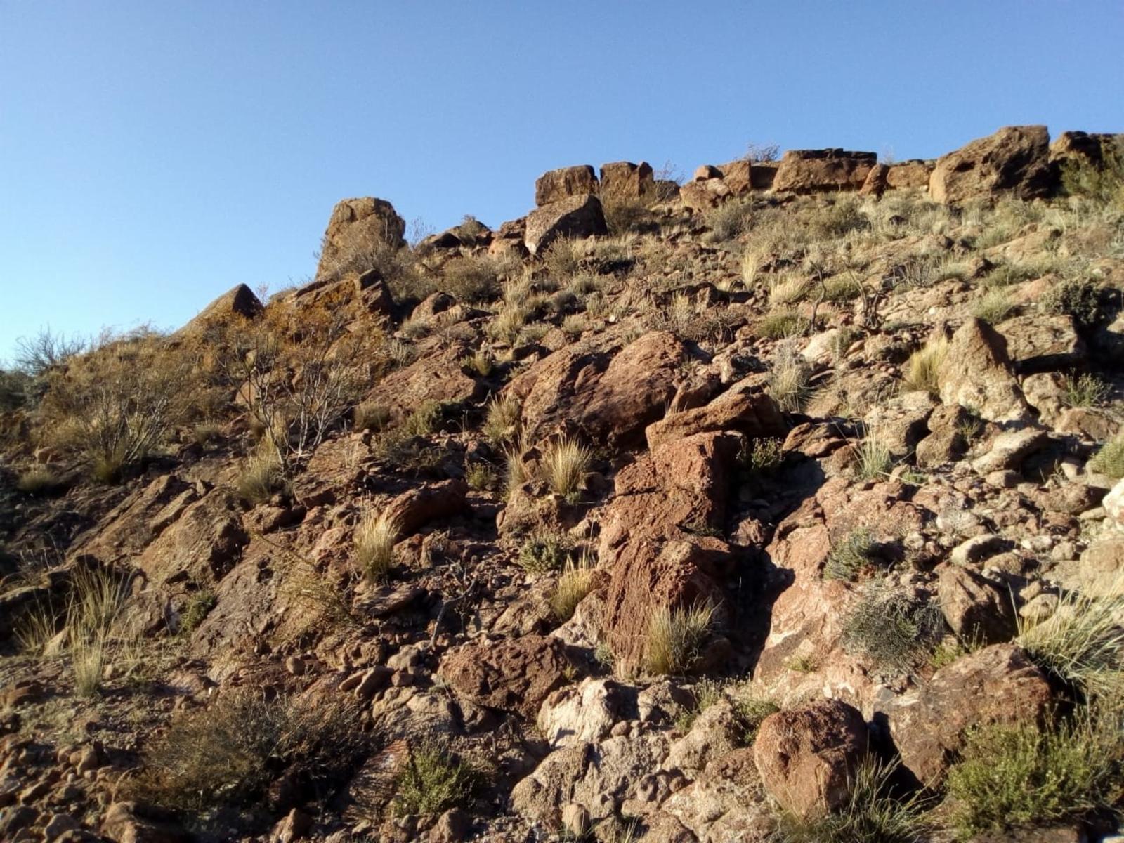 VENDO DOS CAMPOS EN LIMAY MAHUIDA, LA PAMPA . 5000 HECTAREAS - 27
