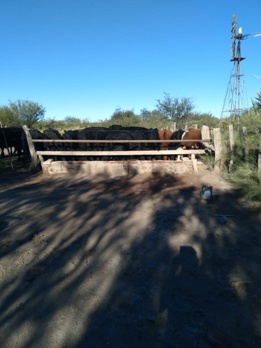 VENDO DOS CAMPOS EN LIMAY MAHUIDA, LA PAMPA . 5000 HECTAREAS - 31