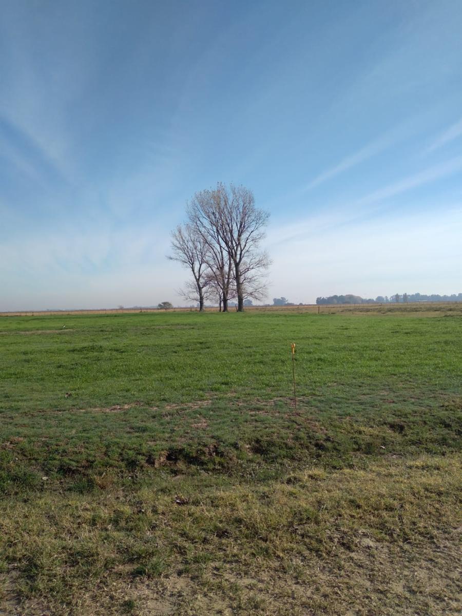 SE VENDE CAMPO DE 59HA EN SAN VICENTE
