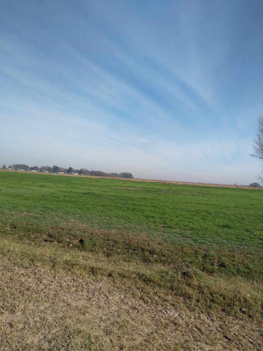 SE VENDE CAMPO DE 59HA EN SAN VICENTE — foto 2
