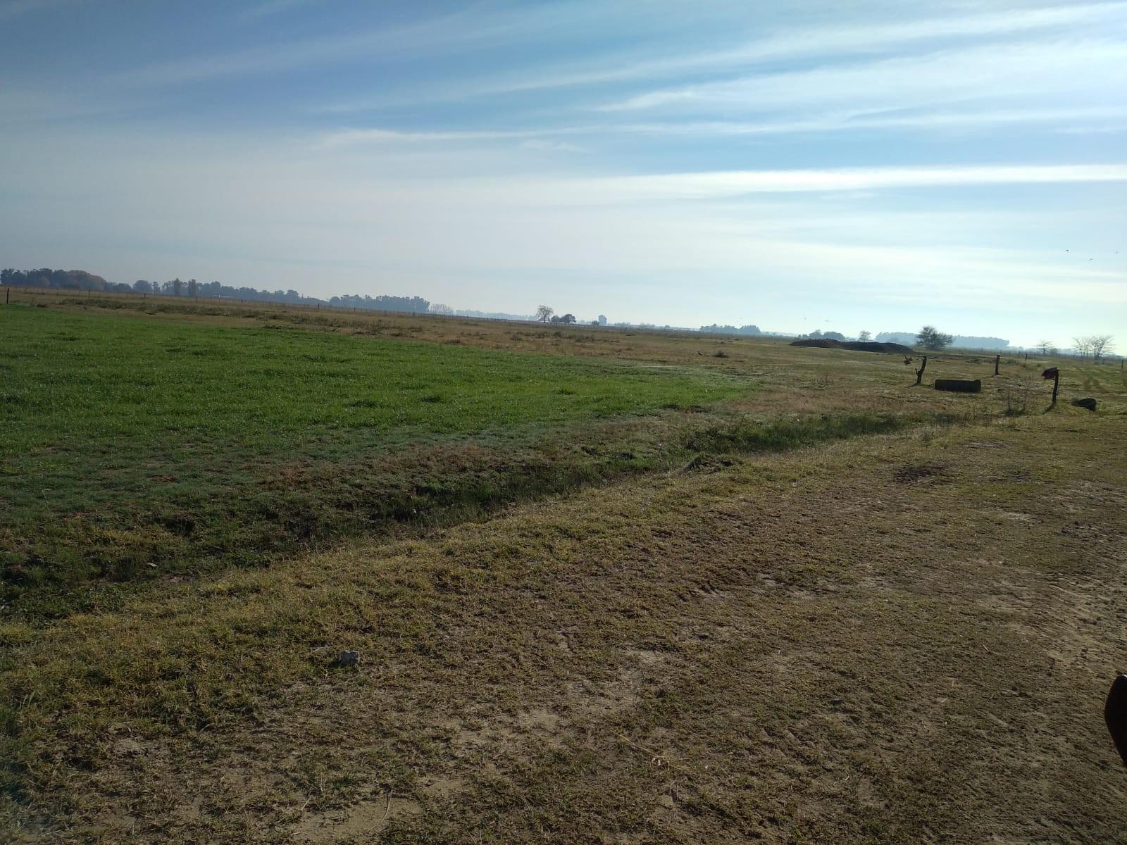 SE VENDE CAMPO DE 59HA EN SAN VICENTE — foto 3