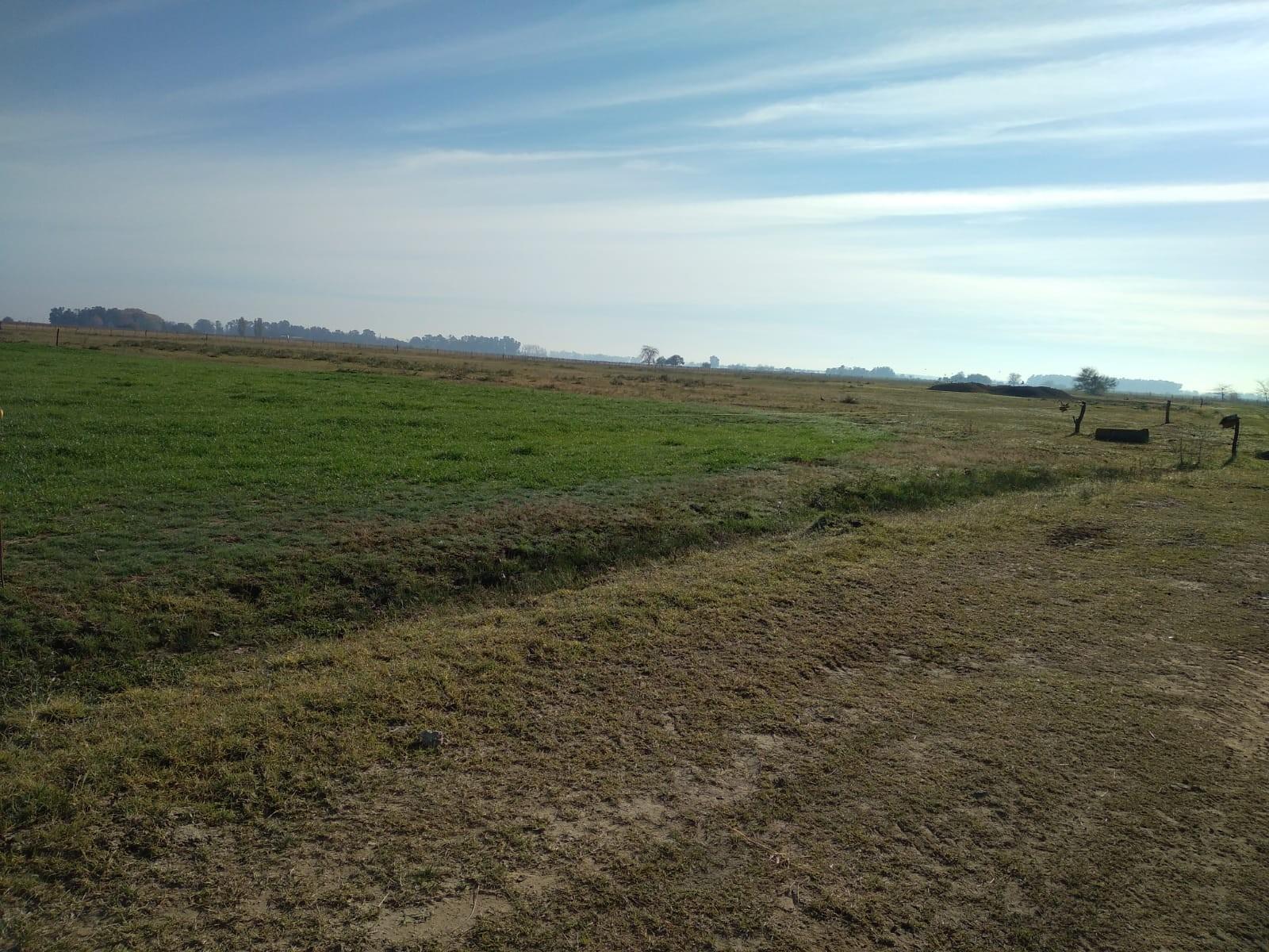 SE VENDE CAMPO DE 59HA EN SAN VICENTE — foto 4