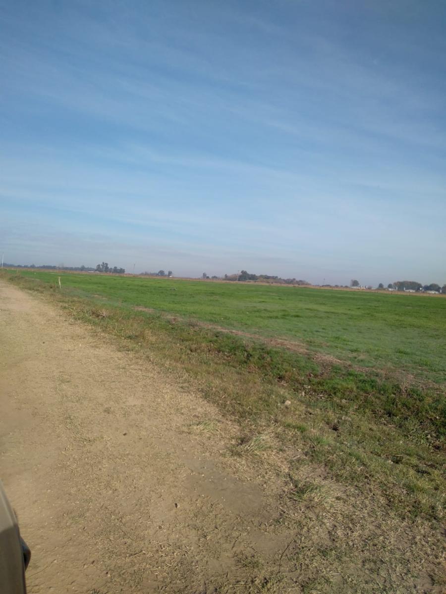 SE VENDE CAMPO DE 59HA EN SAN VICENTE — foto 5