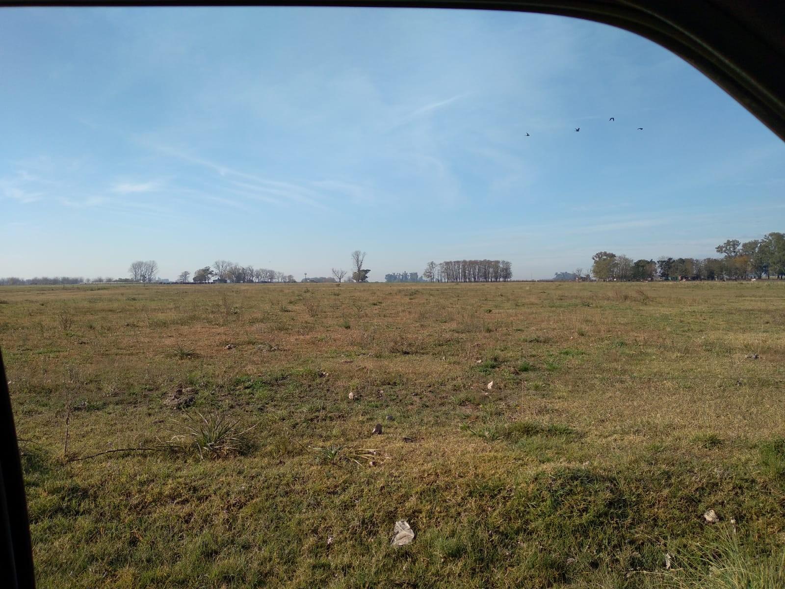 SE VENDE CAMPO DE 59HA EN SAN VICENTE — foto 6