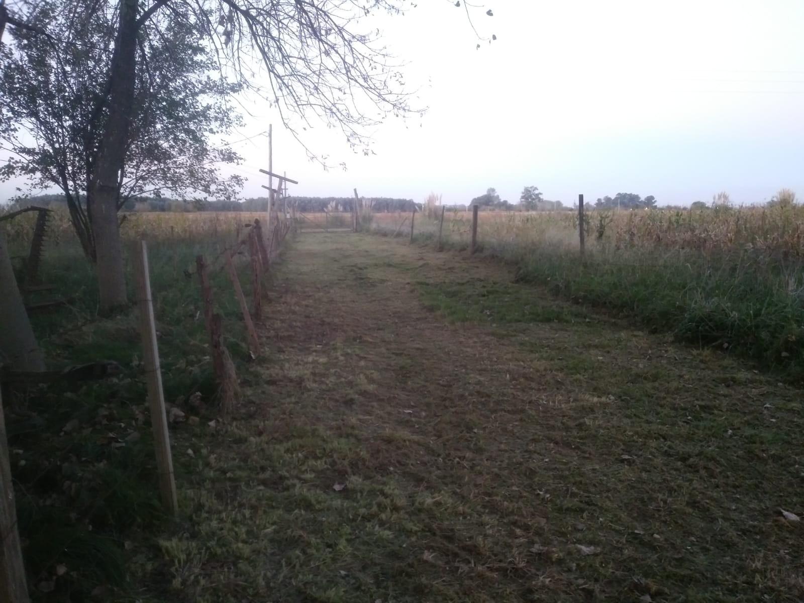 SE VENDE FRACCION DE 5,5 Ha EN VIRREY DEL PINO — foto 2