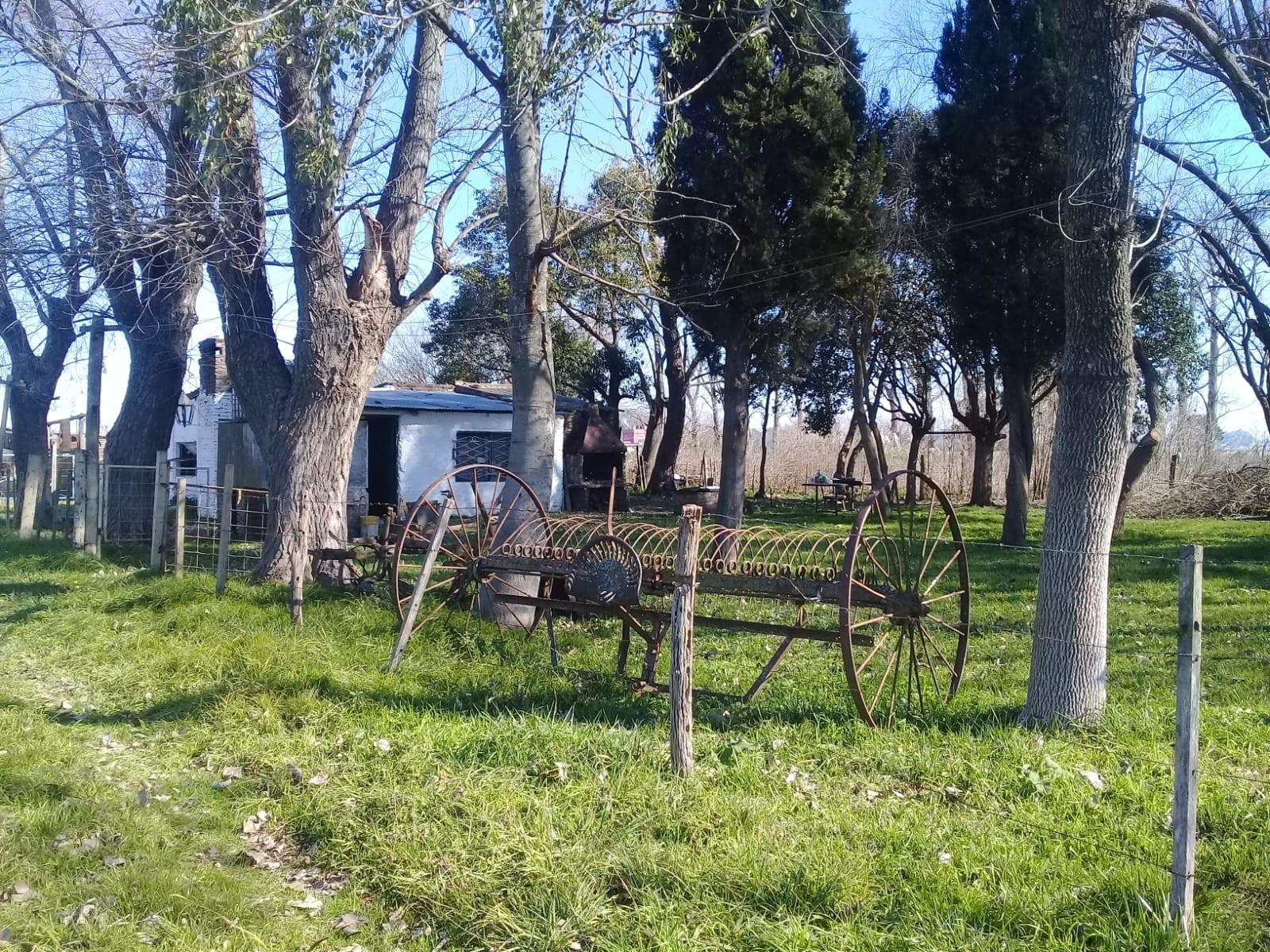 SE VENDE FRACCION DE 5,5 Ha EN VIRREY DEL PINO — foto 4