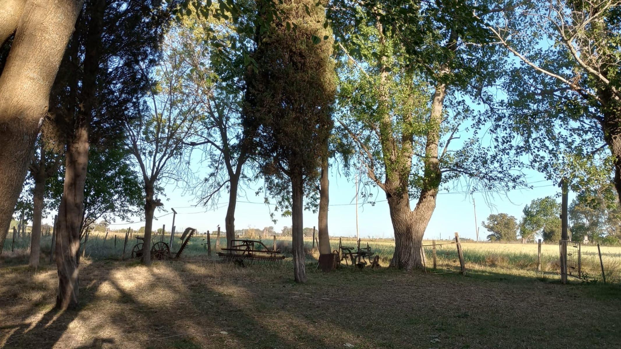 SE VENDE FRACCION DE 5,5 Ha EN VIRREY DEL PINO — foto 5