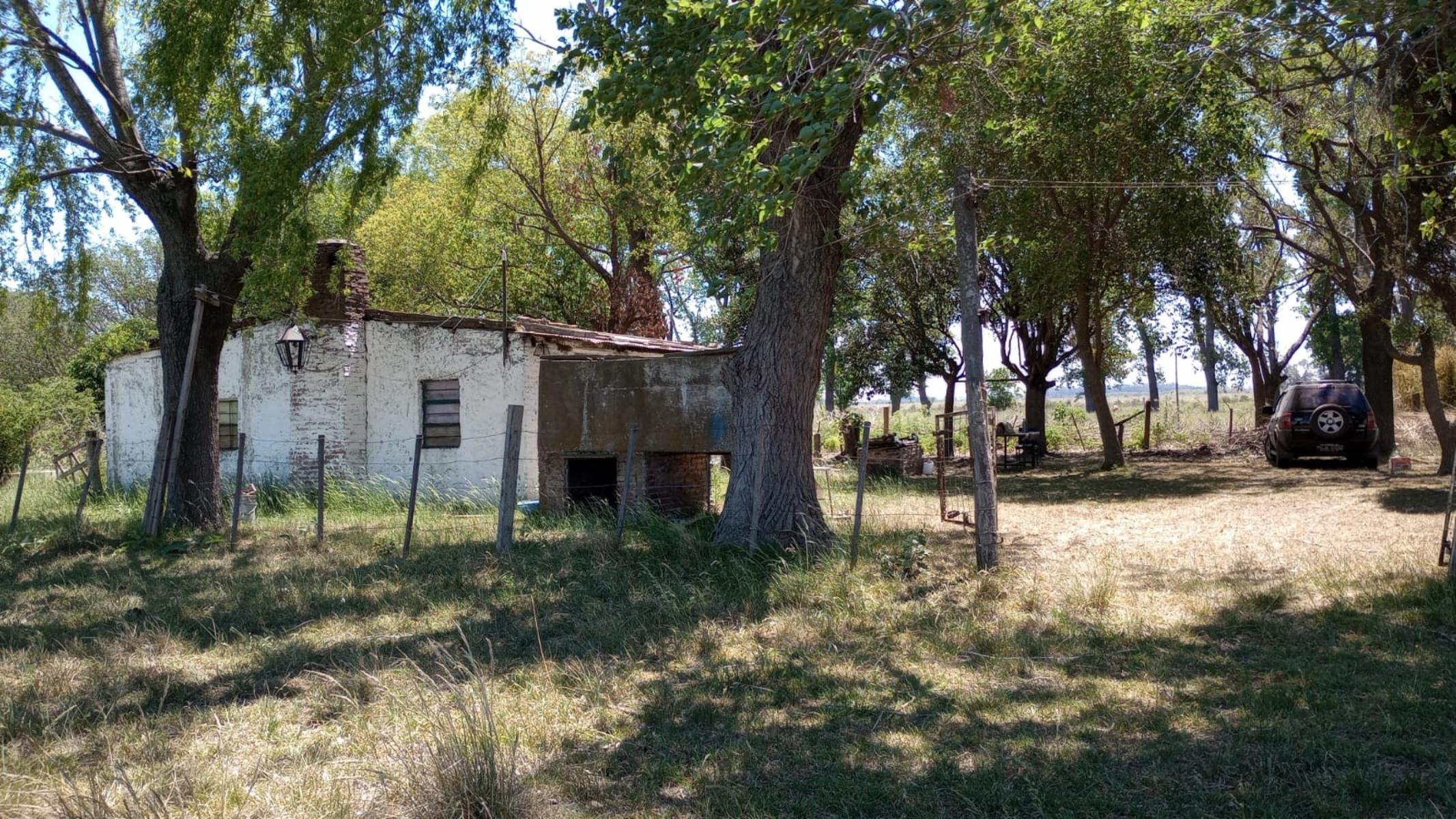 SE VENDE FRACCION DE 5,5 Ha EN VIRREY DEL PINO — foto 6