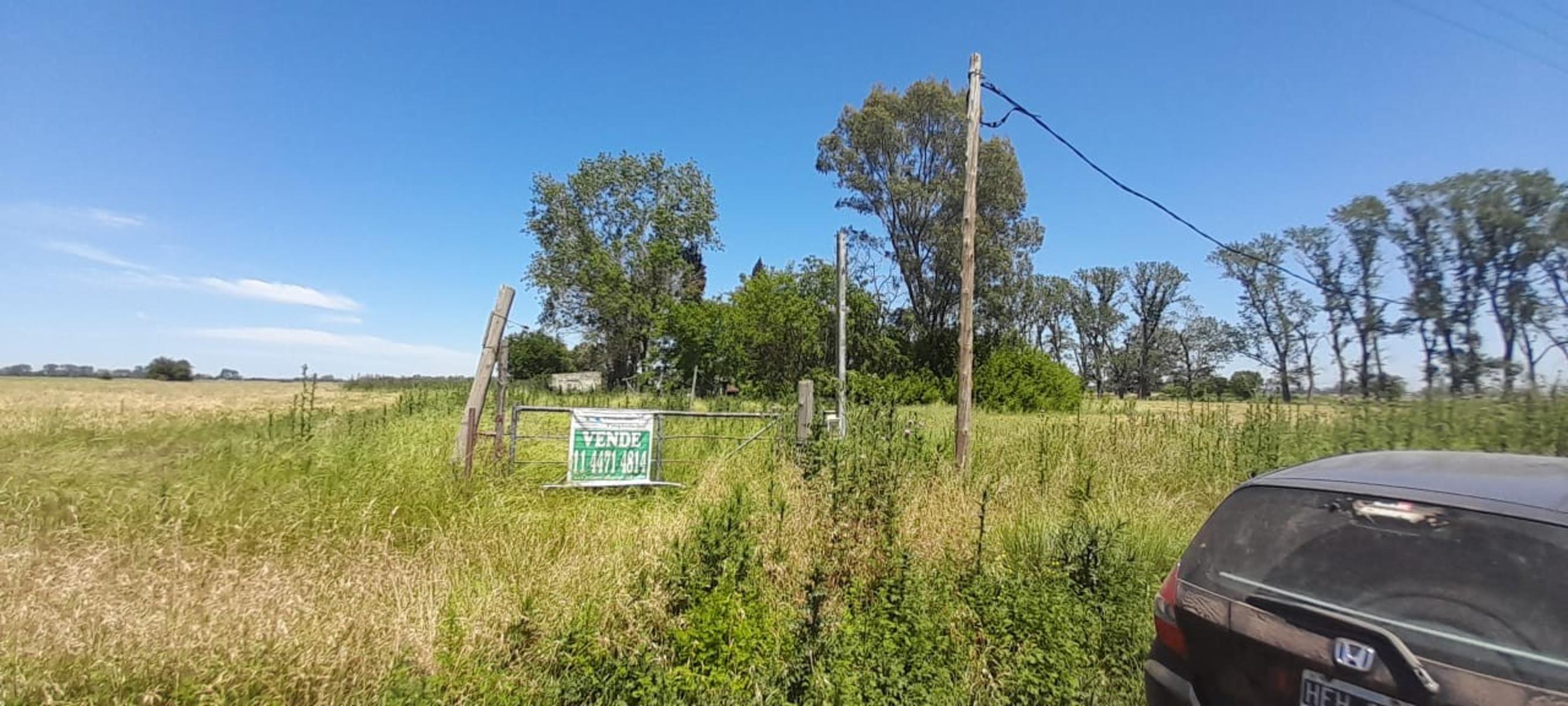 SE VENDE FRACCION DE 5,5 Ha EN VIRREY DEL PINO — foto 8