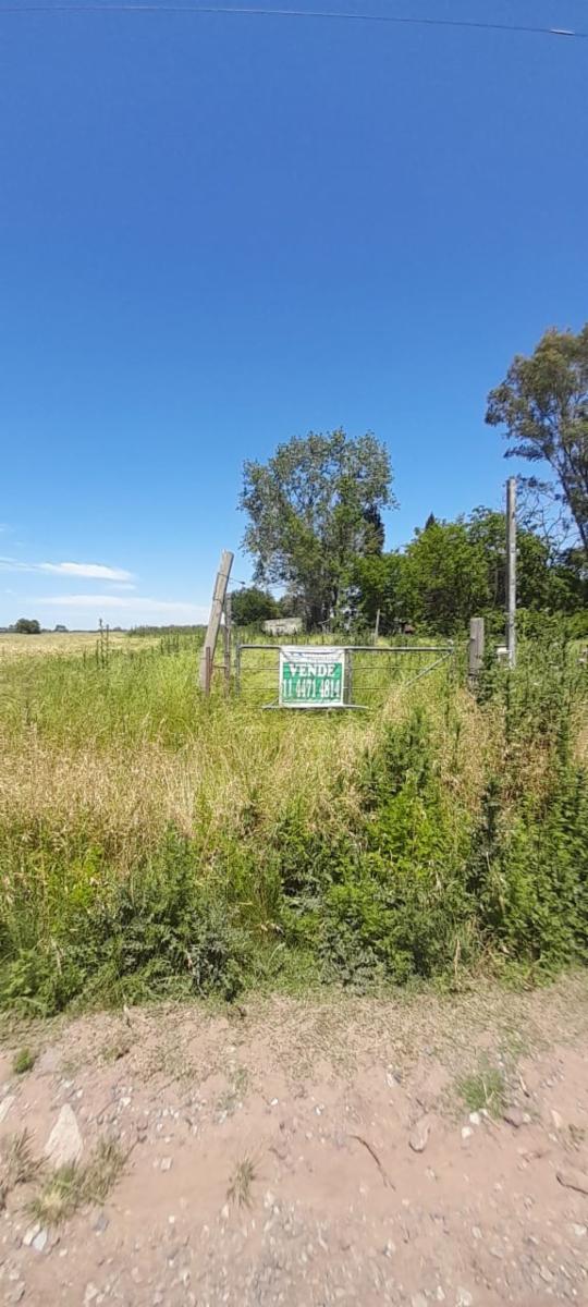 SE VENDE FRACCION DE 5,5 Ha EN VIRREY DEL PINO — foto 9