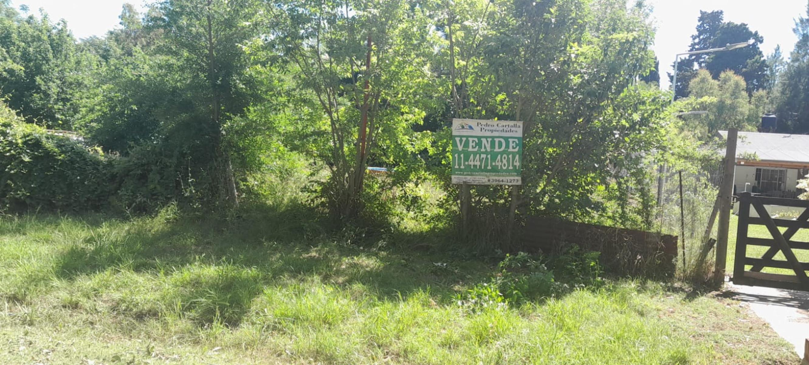 Se vende lote de 800m2 en Laguna de Lobos . EL COMPRADOR NO ABONA ,GASTOS DE LA ESCRITURA — foto 2