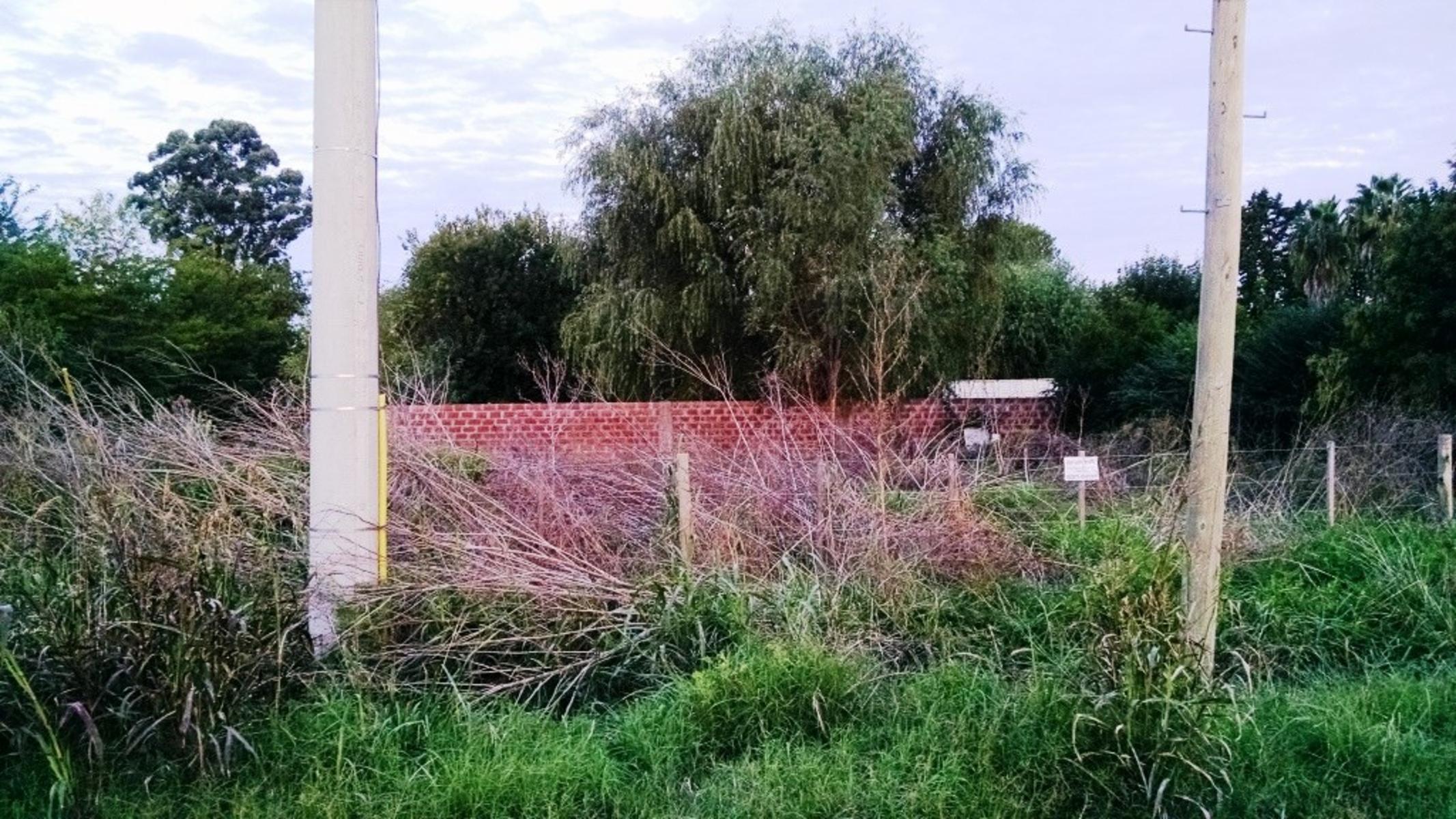 SE VENDEN DOS LOTES EN LOBOS A DOS CUADRAS DE RUTA 205 — foto 3