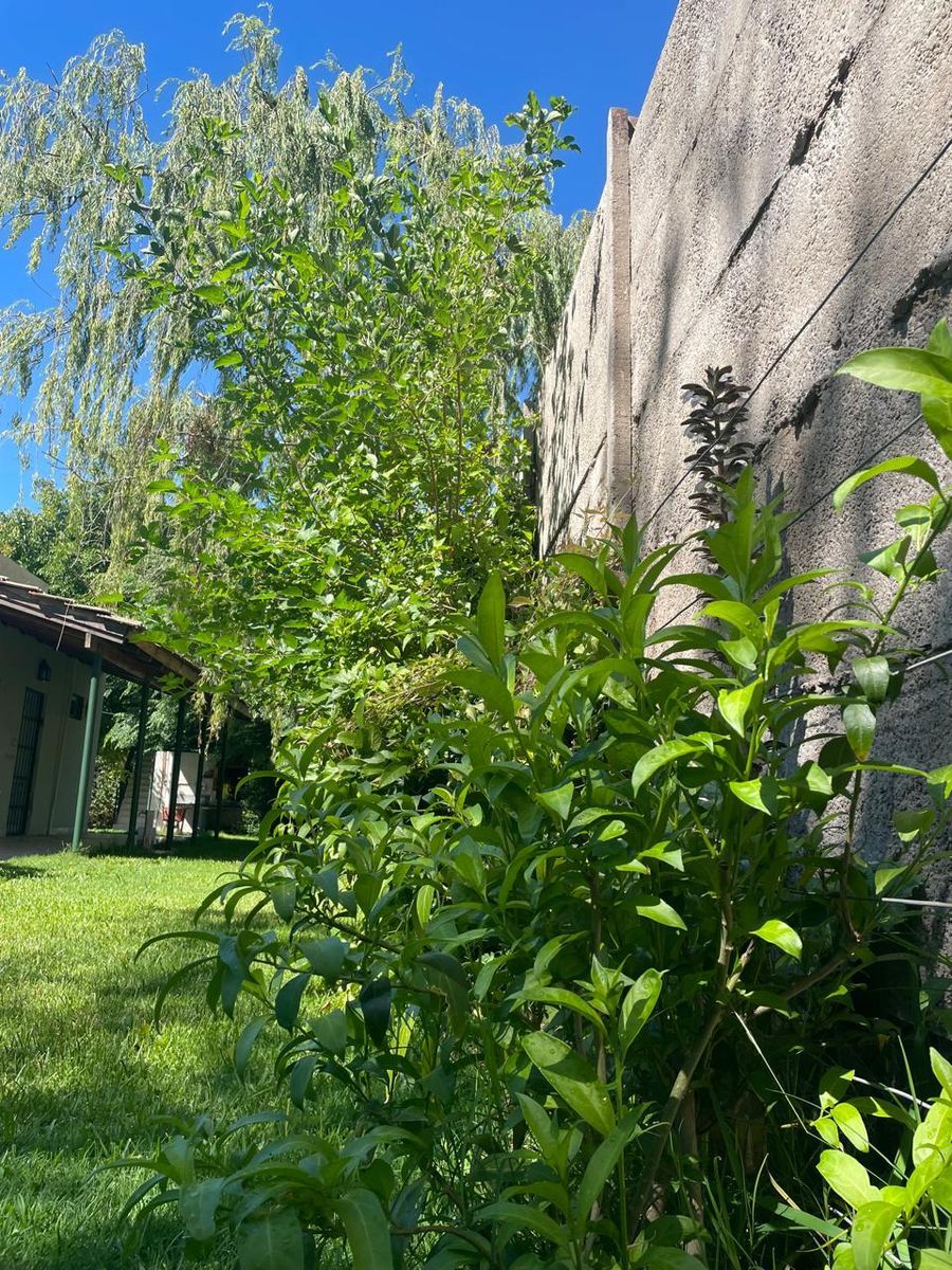 SE VENDE CASAQUINTA MAS DPTO EN LAGUNA DE LOBOS - 9