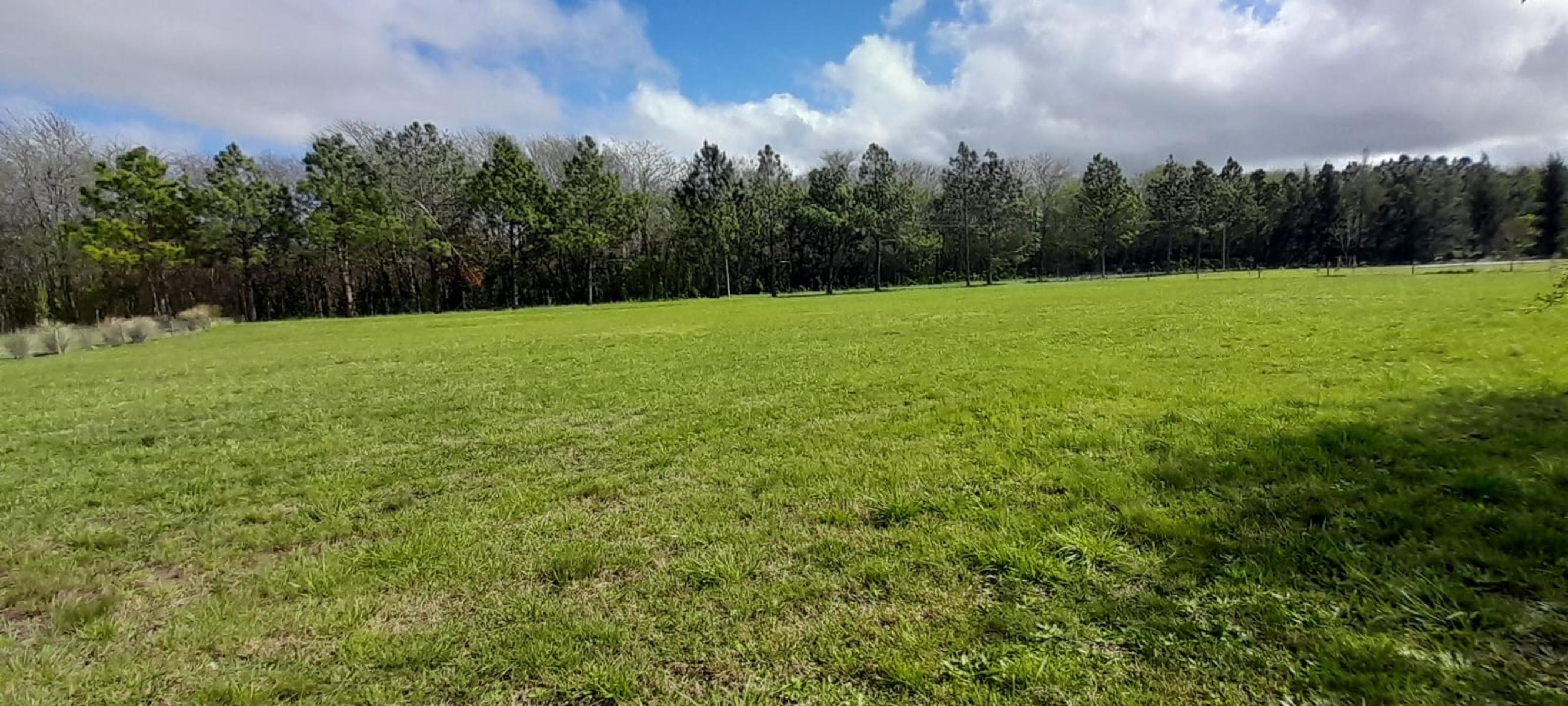 SE VENDE LOTE 2200 M2 CON ESCRITURA BARRIO CAMPOS DE ROCA II — foto 2