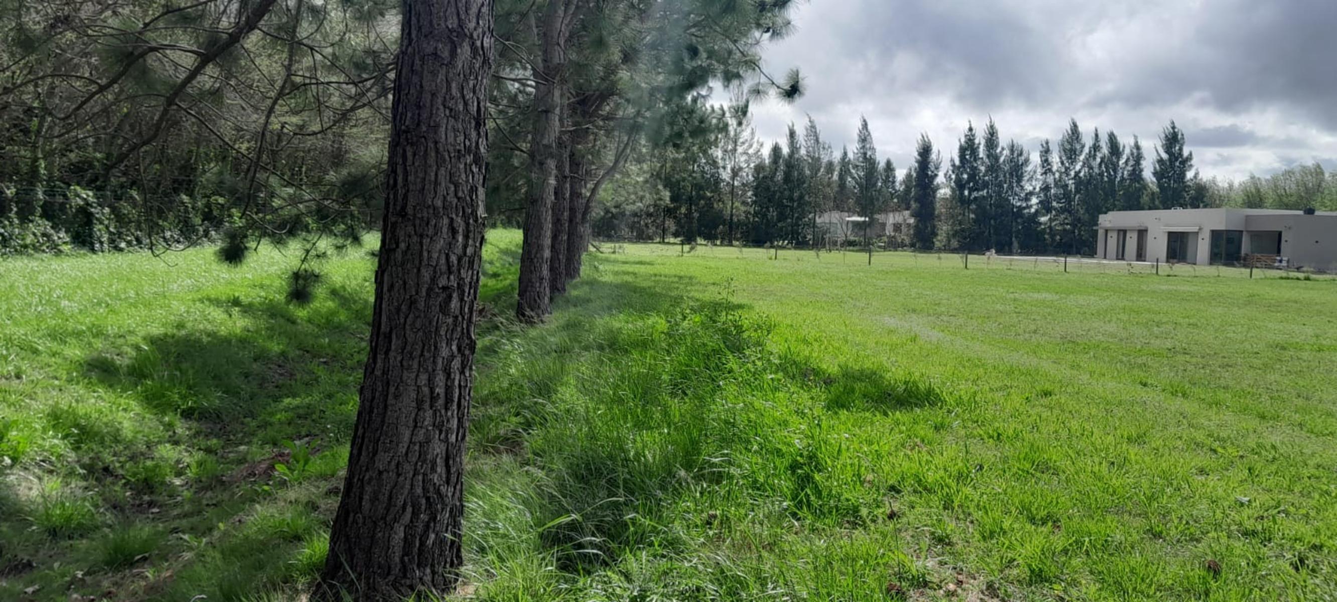 SE VENDE LOTE 2200 M2 CON ESCRITURA BARRIO CAMPOS DE ROCA II — foto 3
