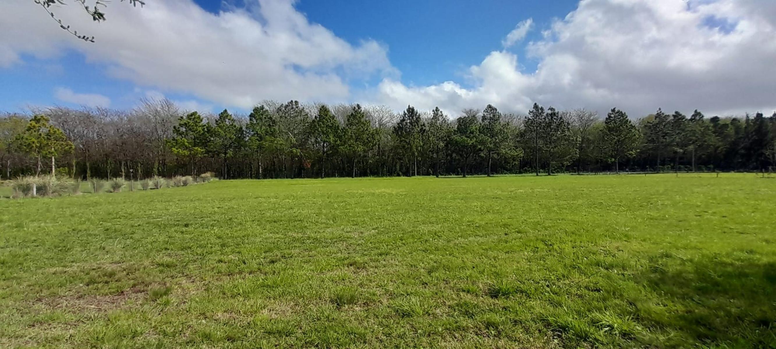 SE VENDE LOTE 2200 M2 CON ESCRITURA BARRIO CAMPOS DE ROCA II — foto 4