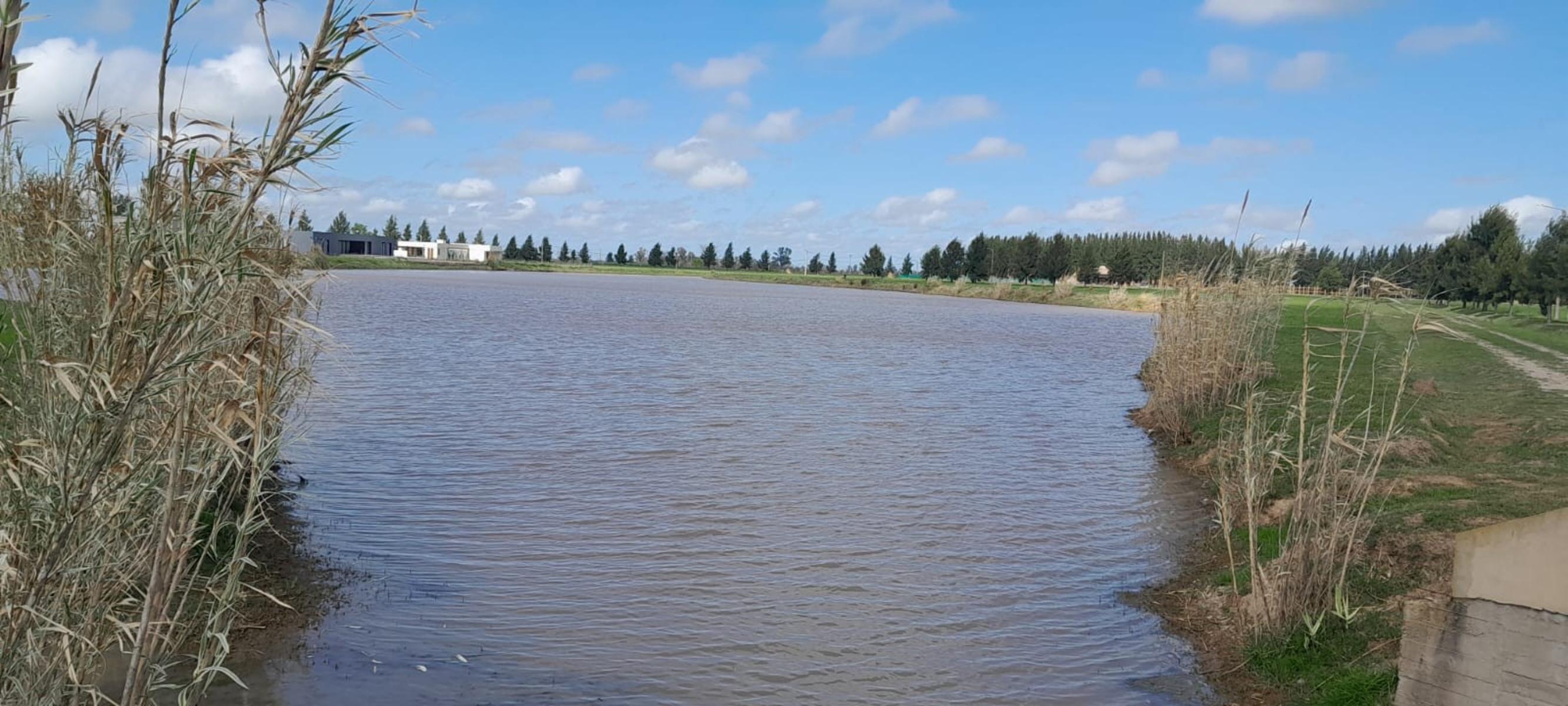 SE VENDE LOTE 2200 M2 CON ESCRITURA BARRIO CAMPOS DE ROCA II — foto 11