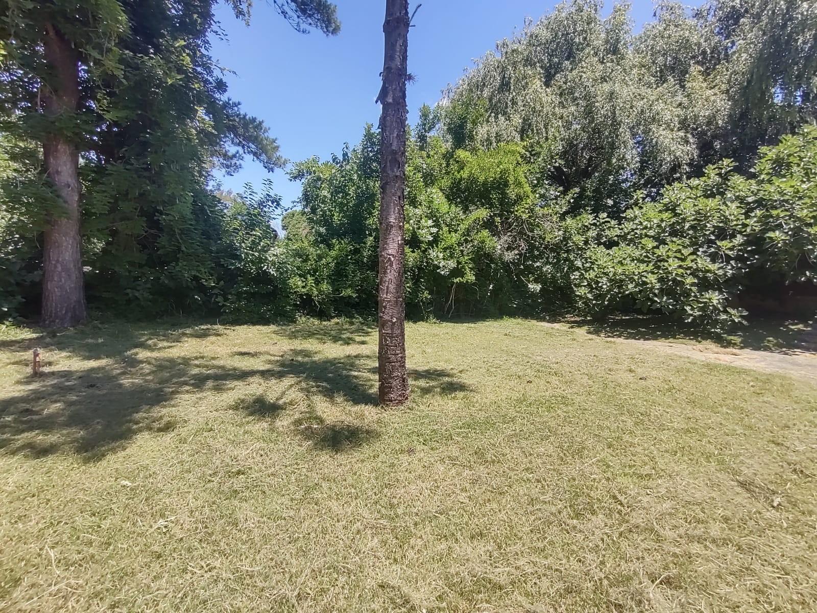 SE VENDE CASAQUINTA SOBRE LOTE DE 3700M2 EN DIQUE LUJAN — foto 5
