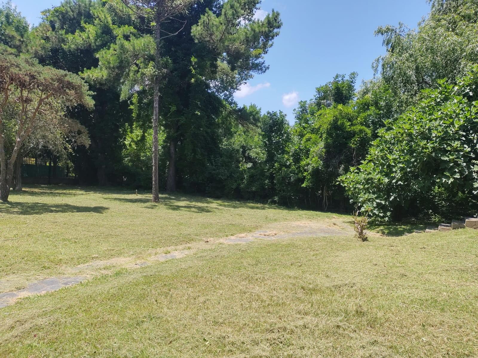 SE VENDE CASAQUINTA SOBRE LOTE DE 3700M2 EN DIQUE LUJAN — foto 6