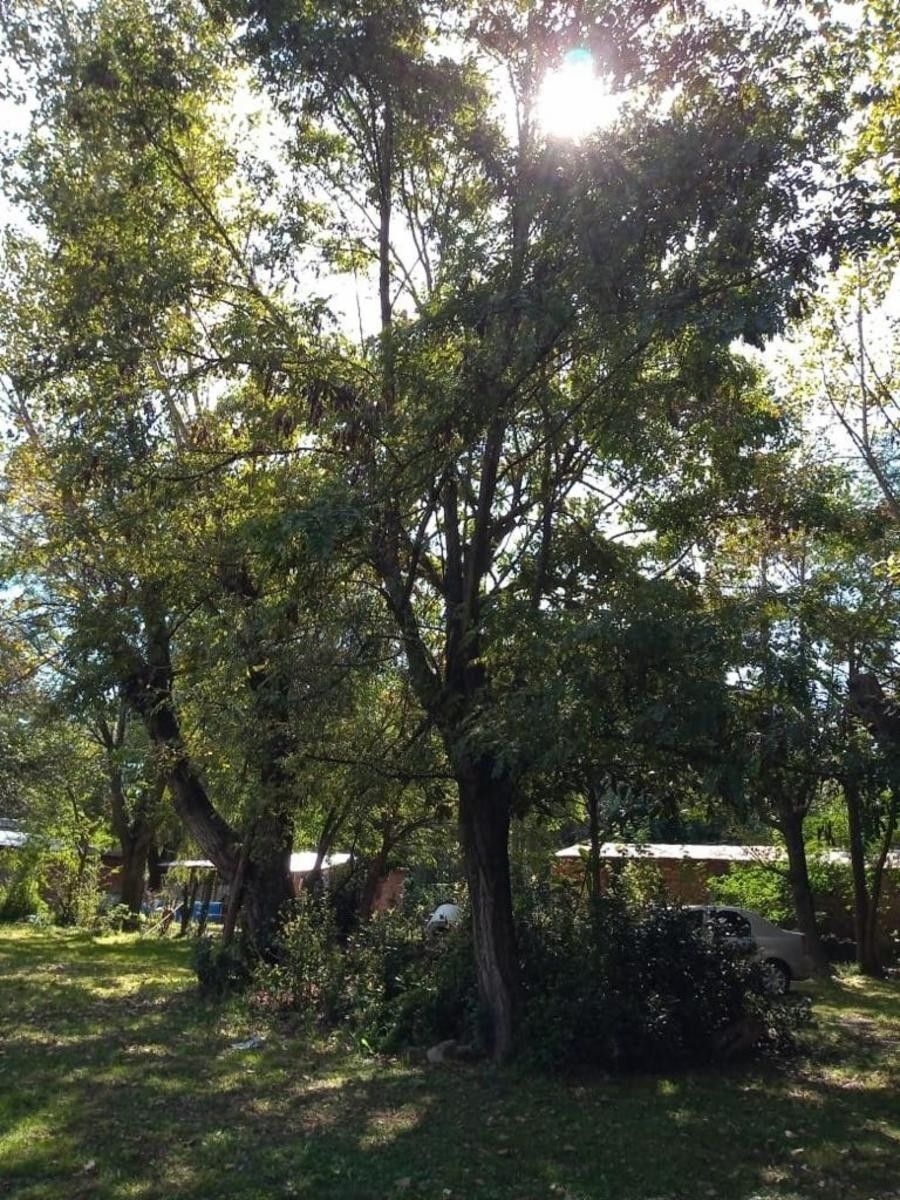 Se Vende Lote de 1500 m² con Escritura en Villa Adriana — foto 3