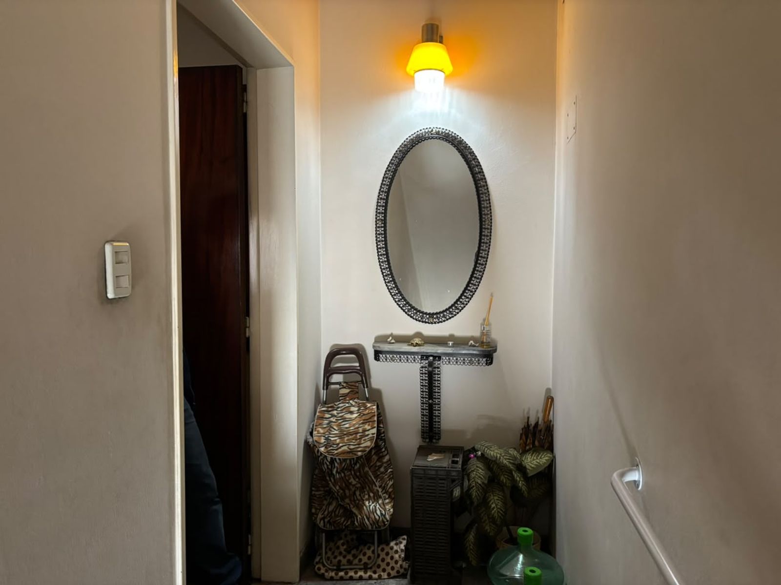 SE VENDE LOCAL CON VIVIENDA EN JOSE INGENIEROS - 20