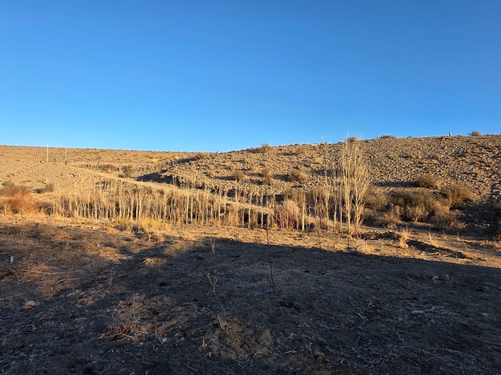 CHACRA PRODUCTIVA CON POTENCIAL TURÍSTICO EN GUALJAINA - 5