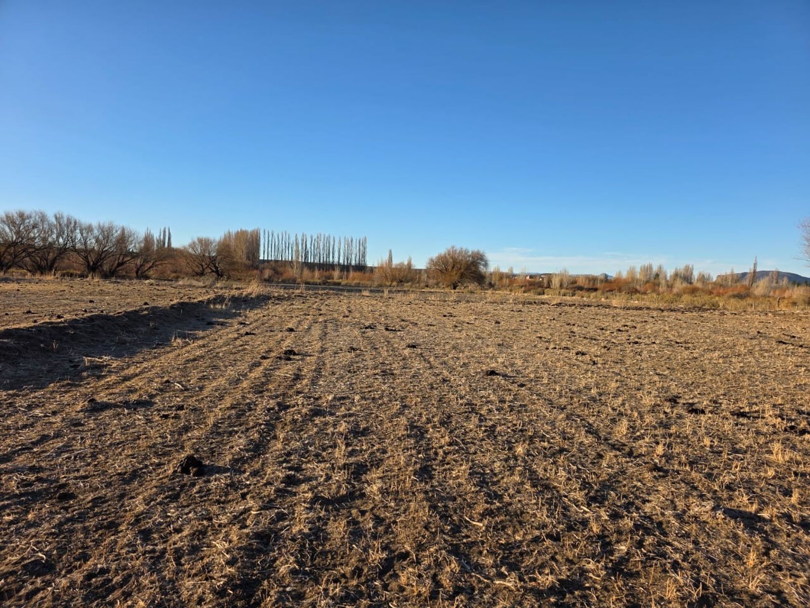 CHACRA PRODUCTIVA CON POTENCIAL TURÍSTICO EN GUALJAINA - 10