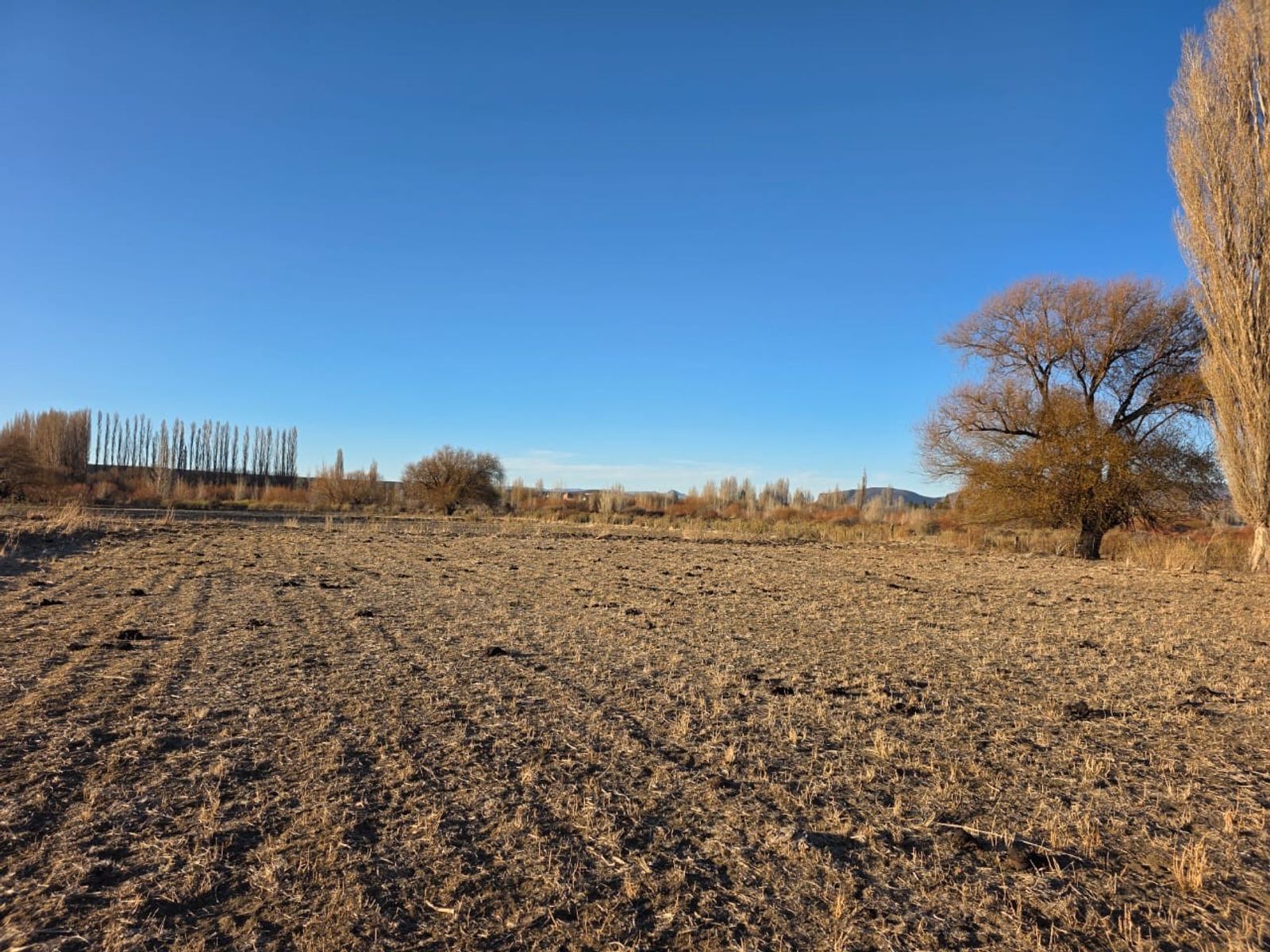 CHACRA PRODUCTIVA CON POTENCIAL TURÍSTICO EN GUALJAINA - 12