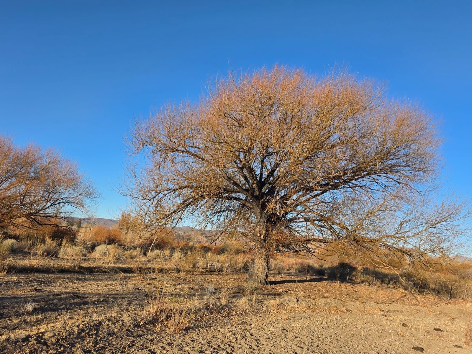 CHACRA PRODUCTIVA CON POTENCIAL TURÍSTICO EN GUALJAINA - 13