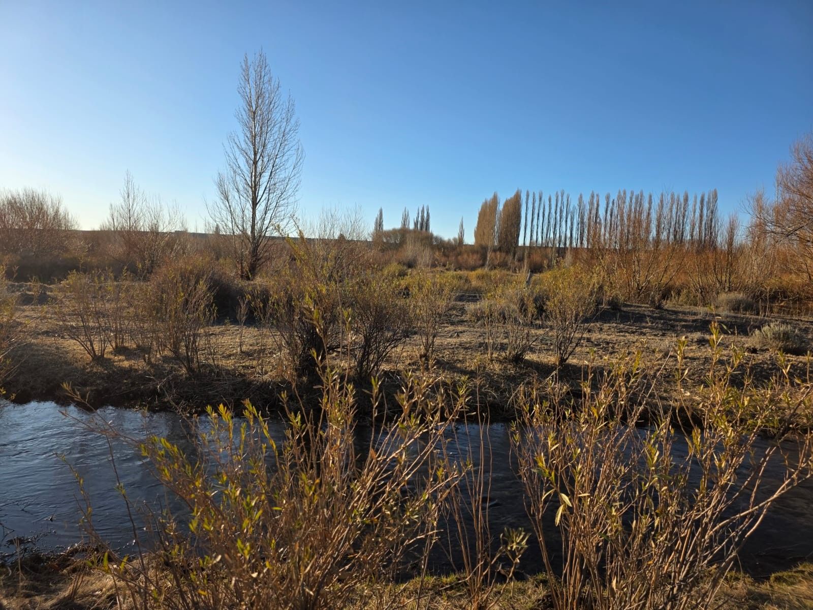 CHACRA PRODUCTIVA CON POTENCIAL TURÍSTICO EN GUALJAINA - 16