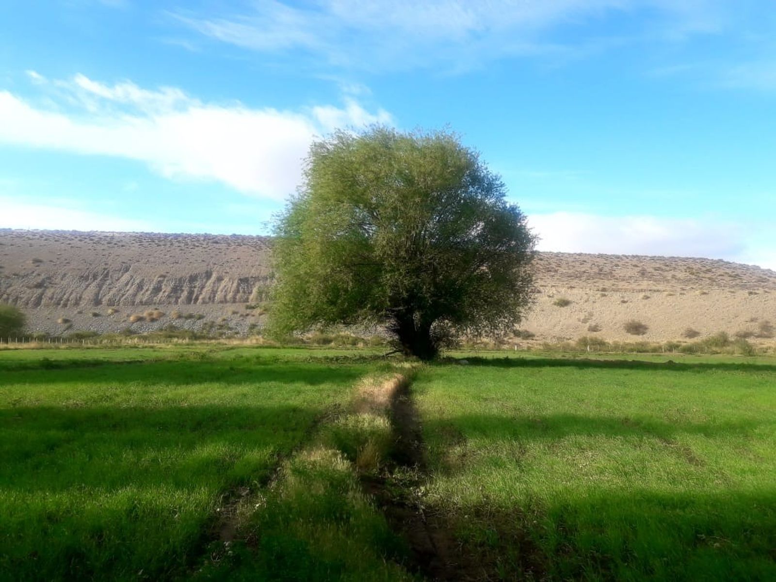 CHACRA PRODUCTIVA CON POTENCIAL TURÍSTICO EN GUALJAINA - 24