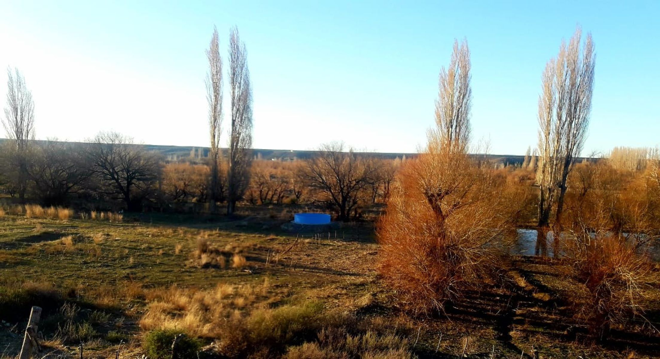 CHACRA PRODUCTIVA CON POTENCIAL TURÍSTICO EN GUALJAINA - 25