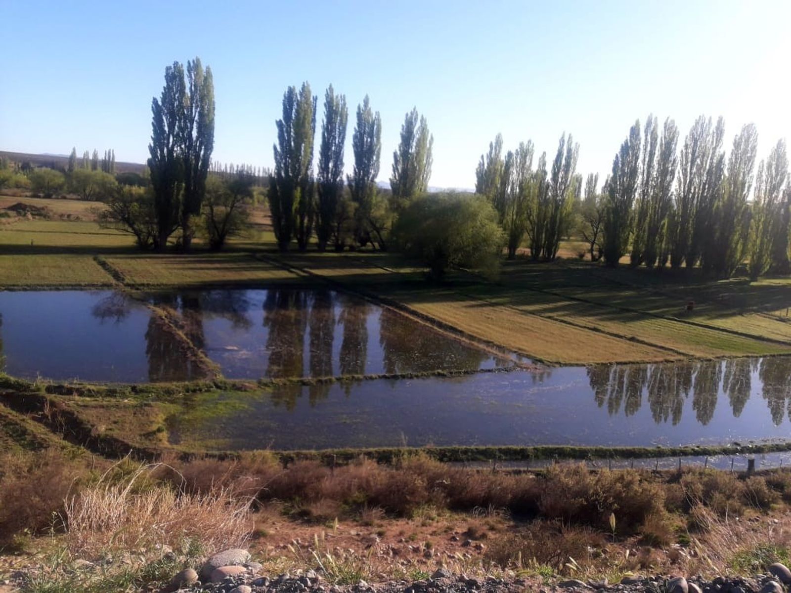CHACRA PRODUCTIVA CON POTENCIAL TURÍSTICO EN GUALJAINA - 27