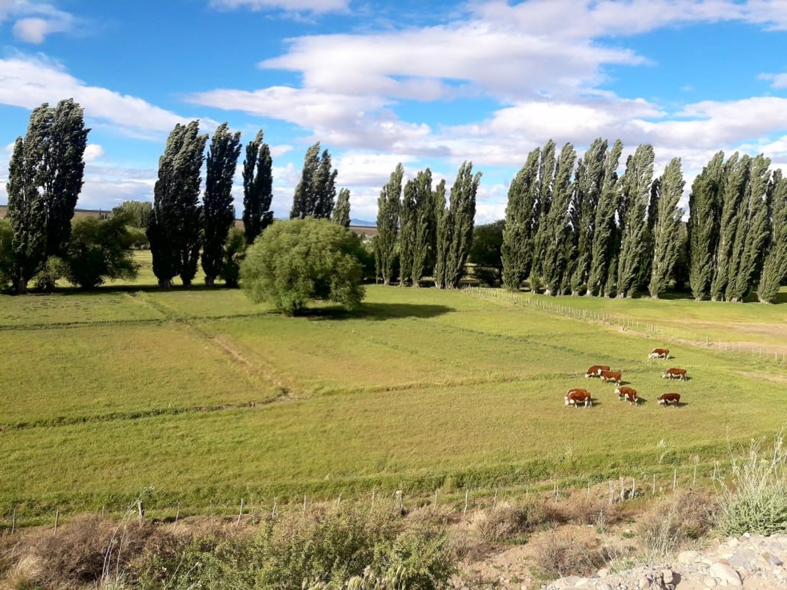 CHACRA PRODUCTIVA CON POTENCIAL TURÍSTICO EN GUALJAINA - 29