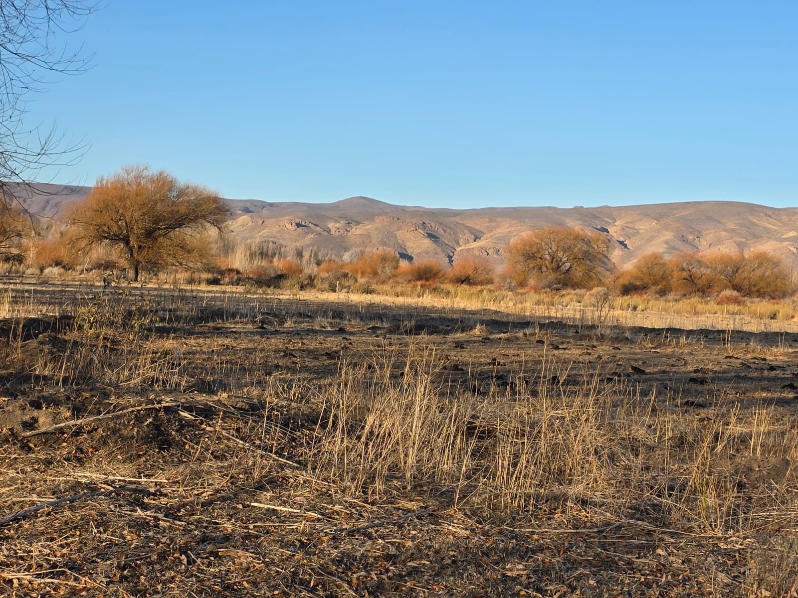 CHACRA PRODUCTIVA CON POTENCIAL TURÍSTICO EN GUALJAINA - 30