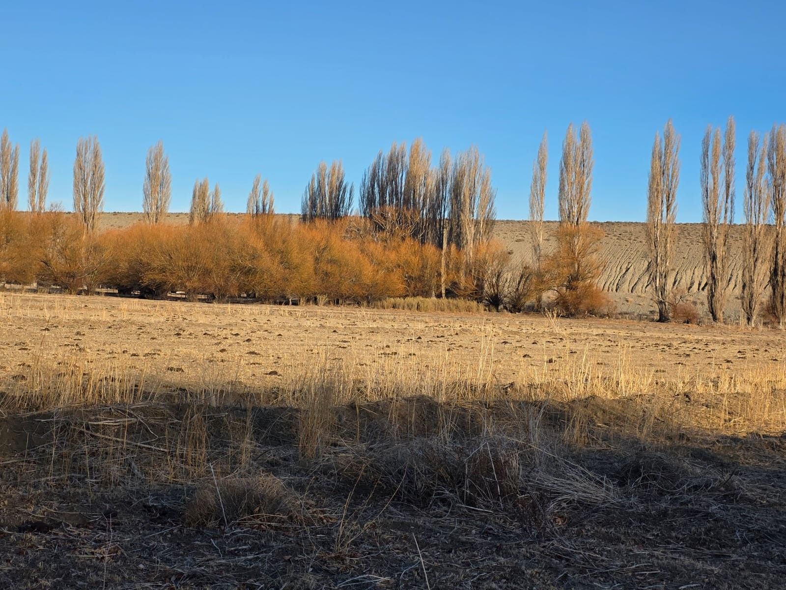 CHACRA PRODUCTIVA CON POTENCIAL TURÍSTICO EN GUALJAINA - 31
