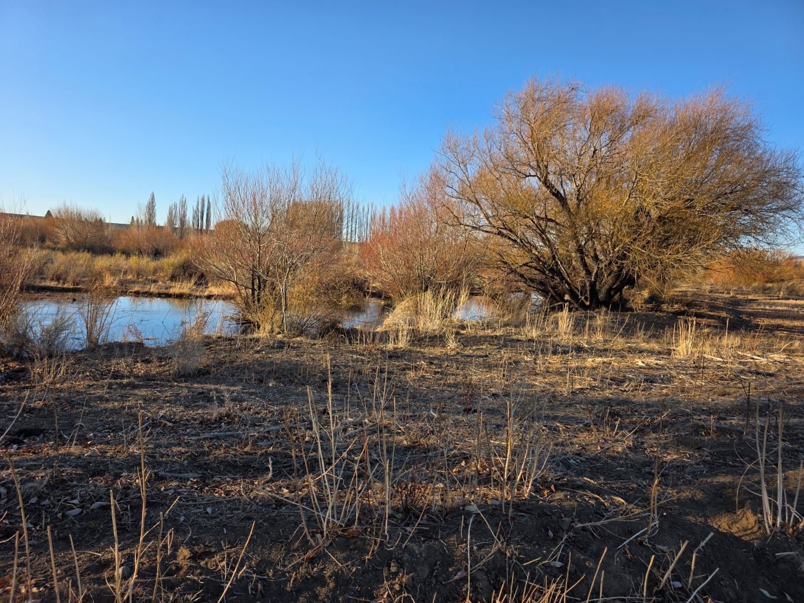 CHACRA PRODUCTIVA CON POTENCIAL TURÍSTICO EN GUALJAINA - 32