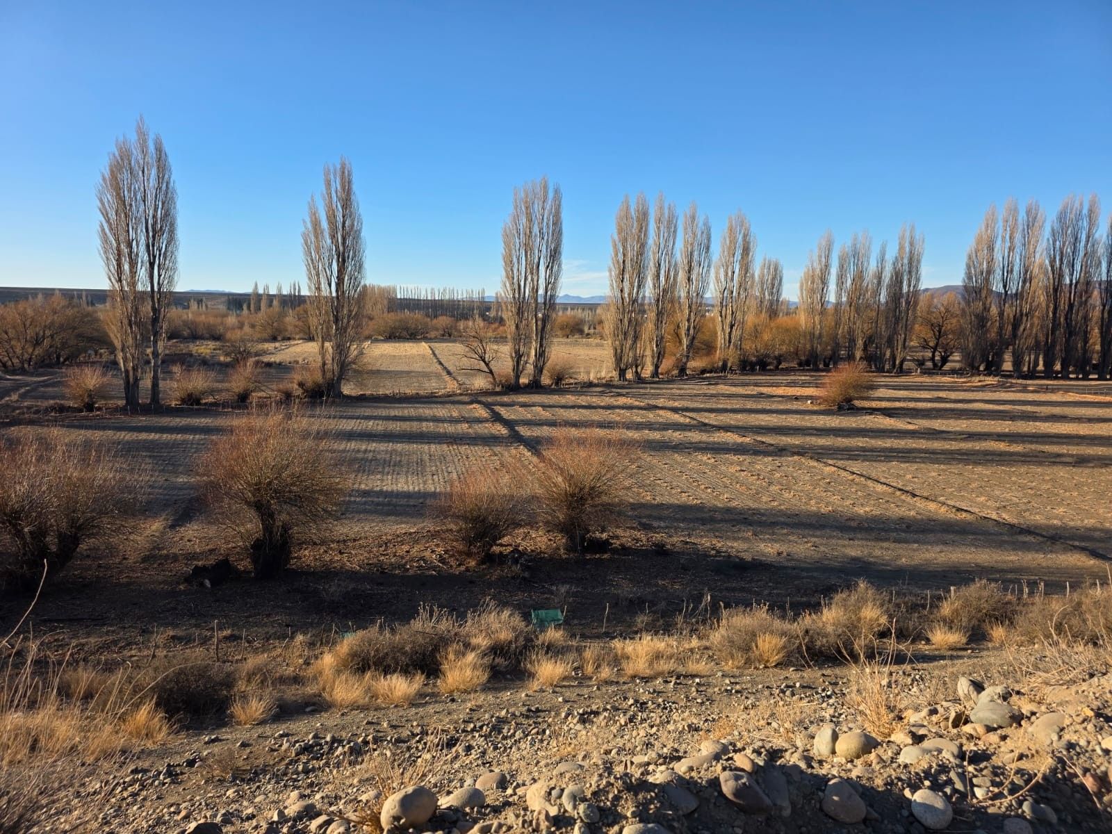 CHACRA PRODUCTIVA CON POTENCIAL TURÍSTICO EN GUALJAINA - 36