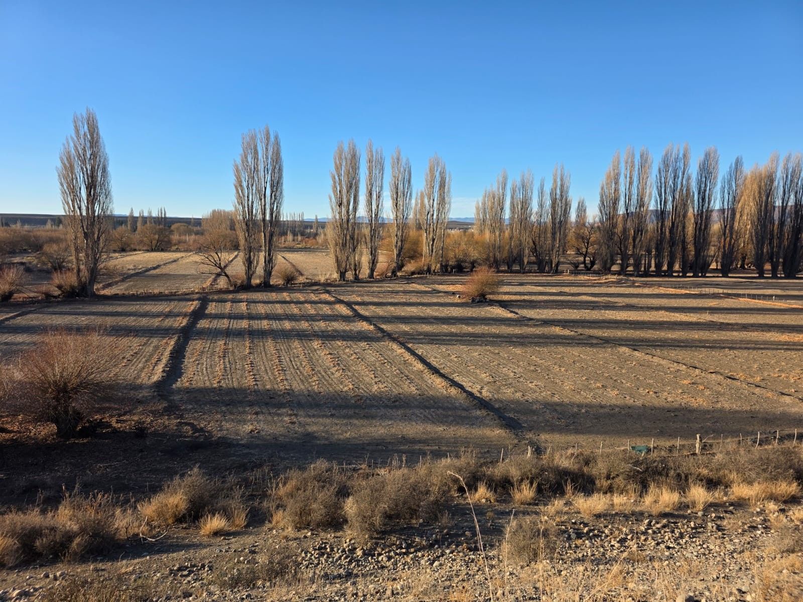 CHACRA PRODUCTIVA CON POTENCIAL TURÍSTICO EN GUALJAINA - 38