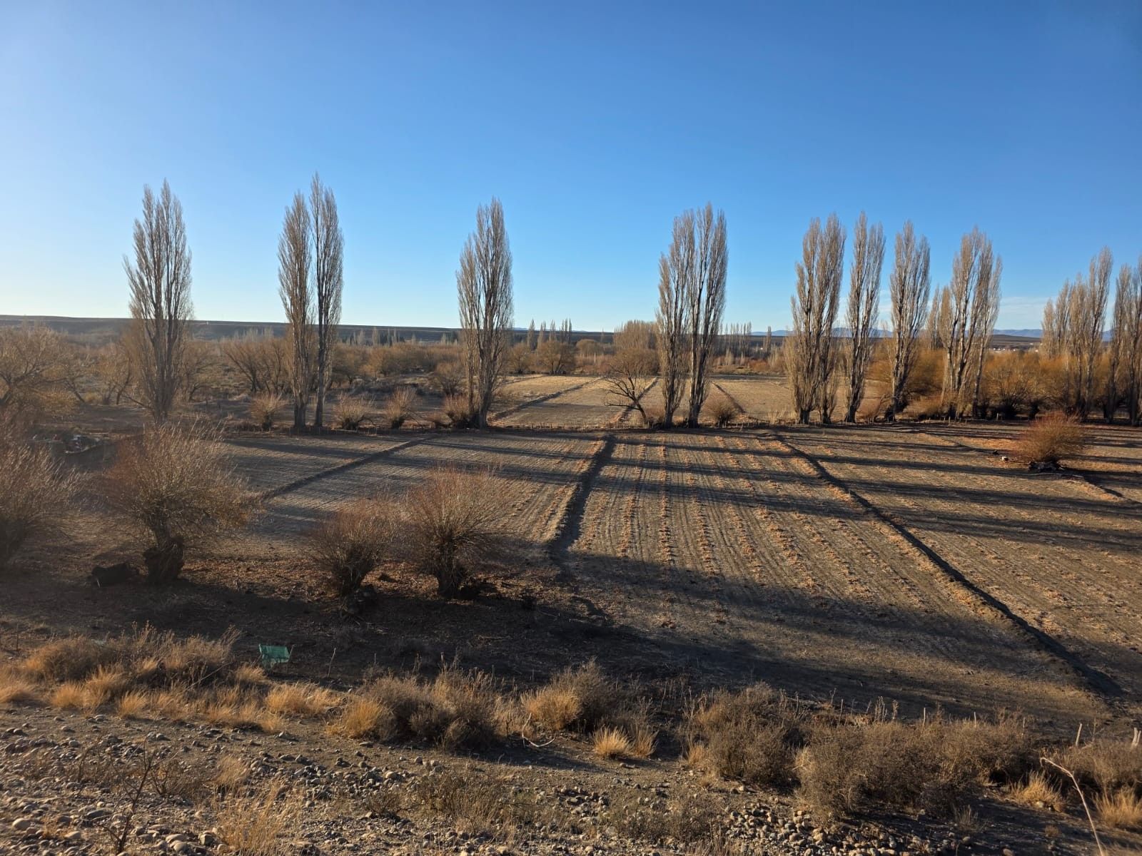 CHACRA PRODUCTIVA CON POTENCIAL TURÍSTICO EN GUALJAINA - 39