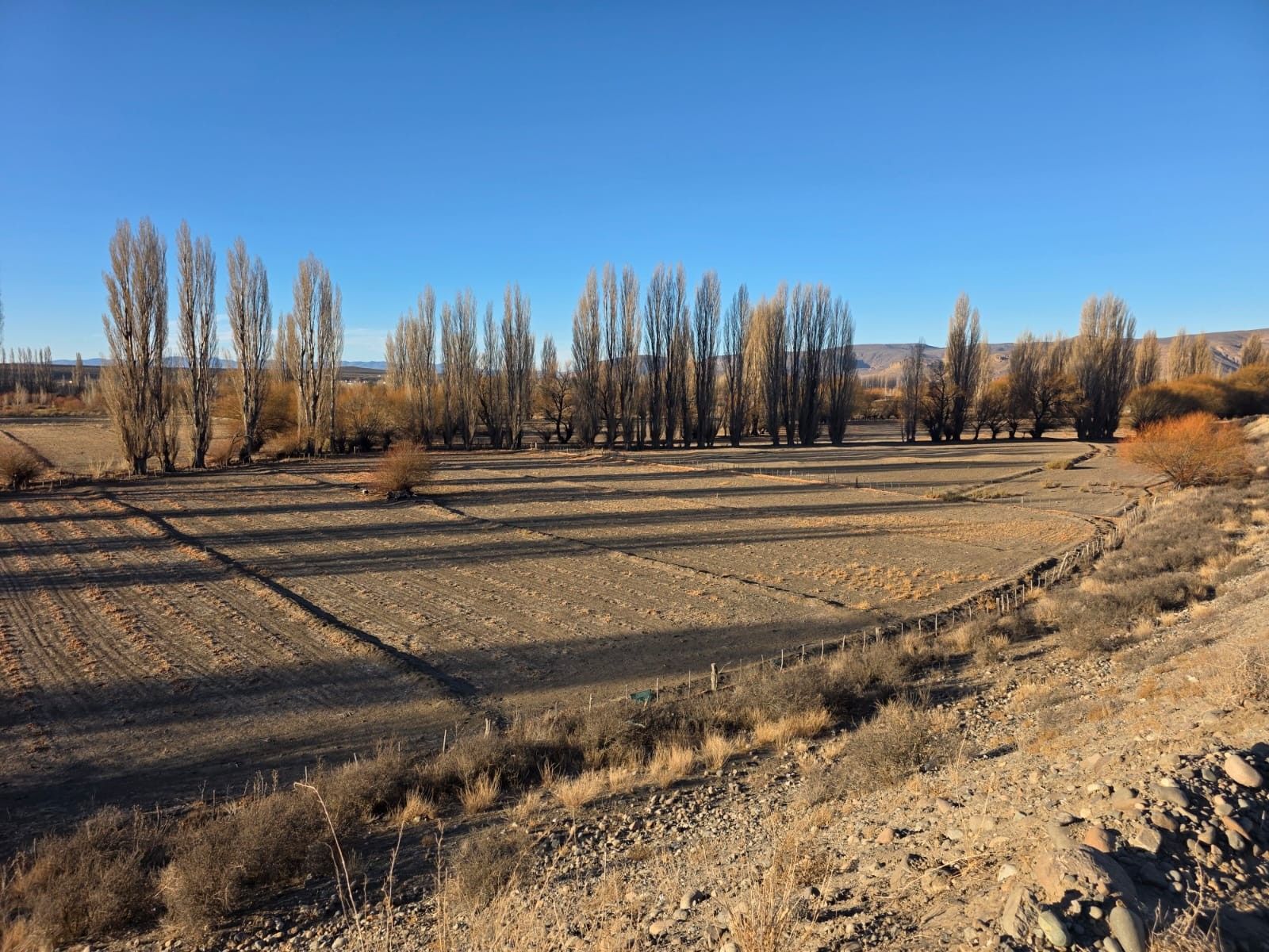 CHACRA PRODUCTIVA CON POTENCIAL TURÍSTICO EN GUALJAINA - 40